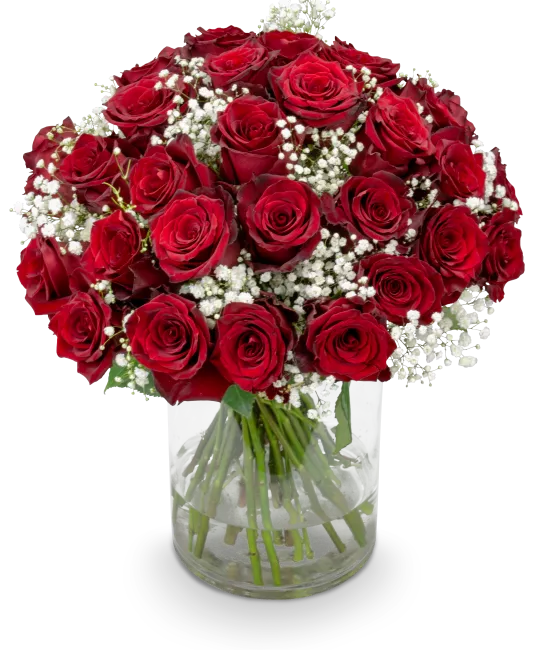 Bouquet of red roses
